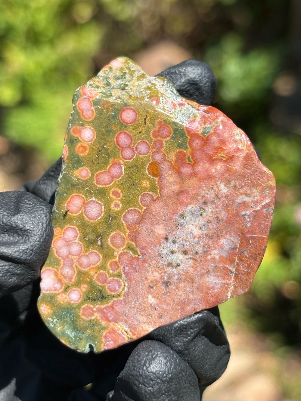 Ocean Jasper Crystal Freeform - Polished Sea Jasper - Orbicular Jasper